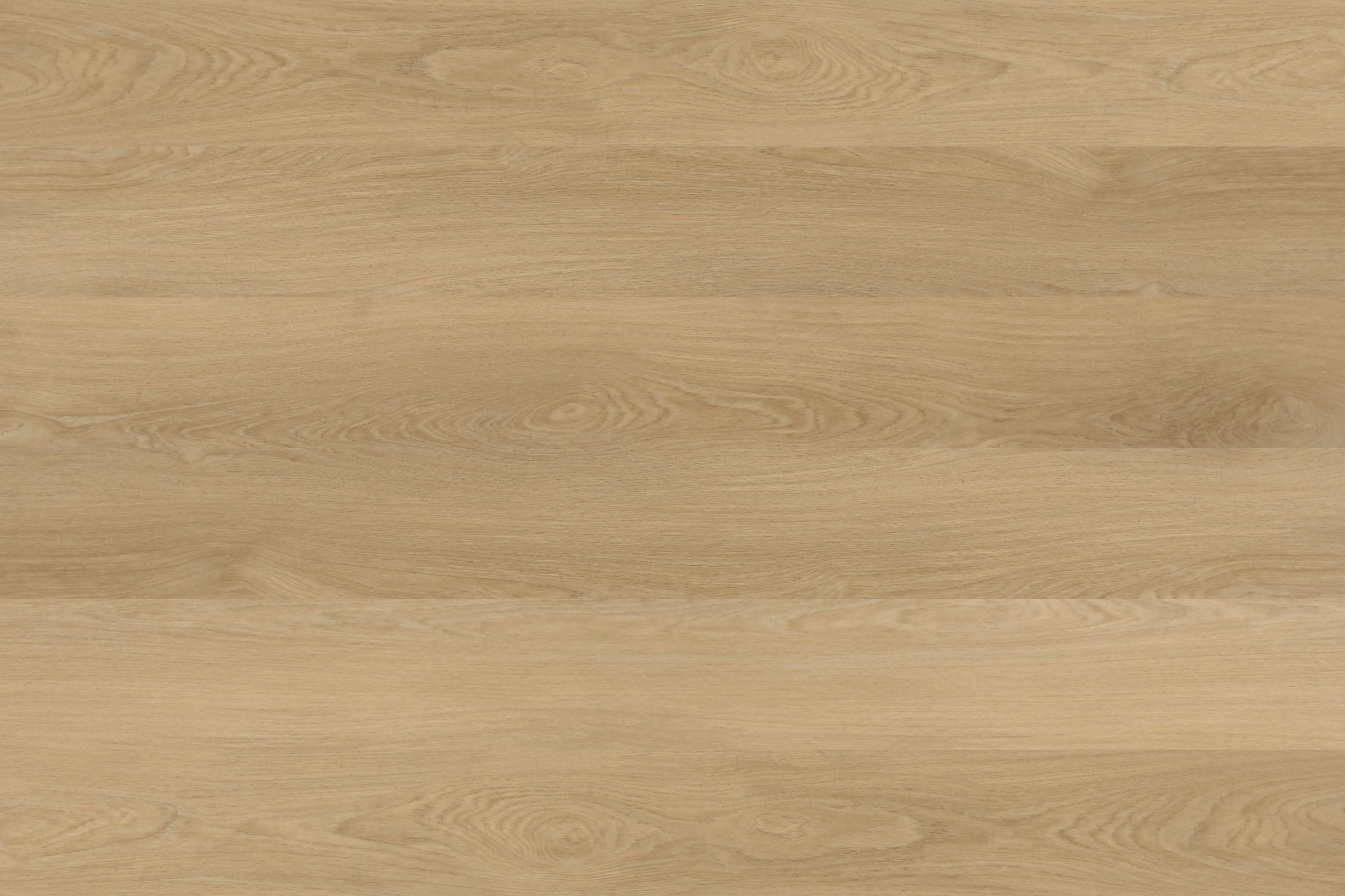 Coastal Beige
