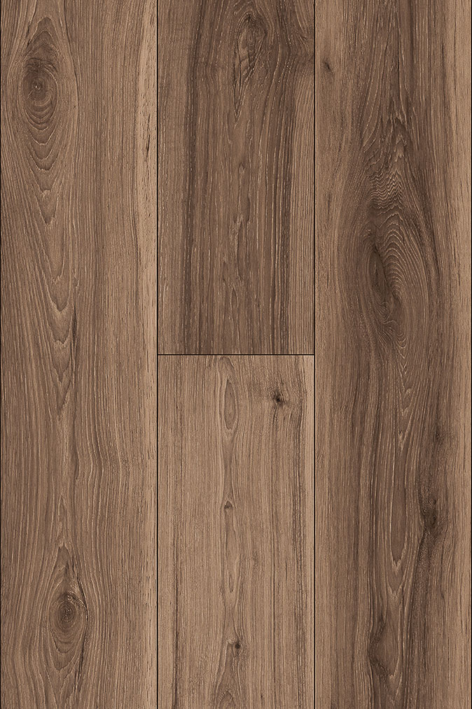 American Walnut